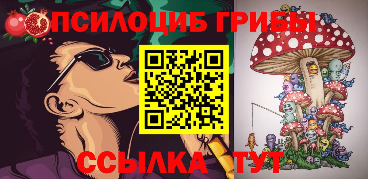 Вязьма  Псилоцибиновые грибы мухоморы  Вход с VPN 